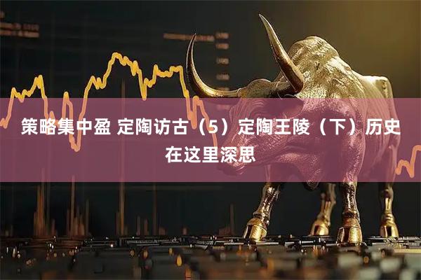 策略集中盈 定陶访古（5）定陶王陵（下）历史在这里深思