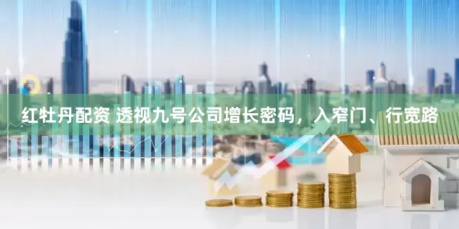 红牡丹配资 透视九号公司增长密码，入窄门、行宽路