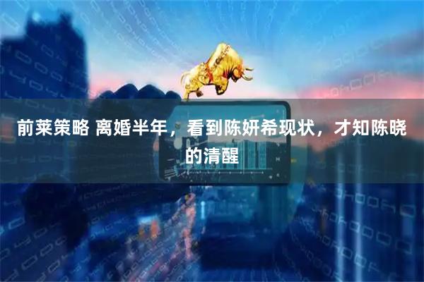 前莱策略 离婚半年，看到陈妍希现状，才知陈晓的清醒